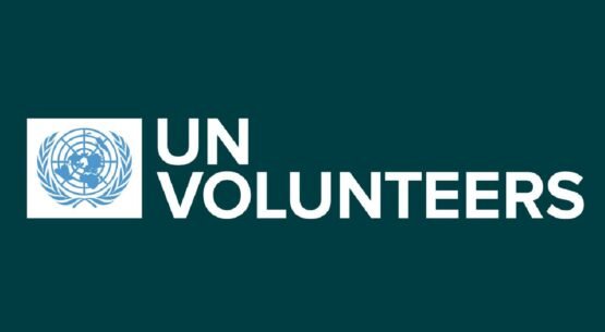 IT Project Manager |Hanoi, Vietnam