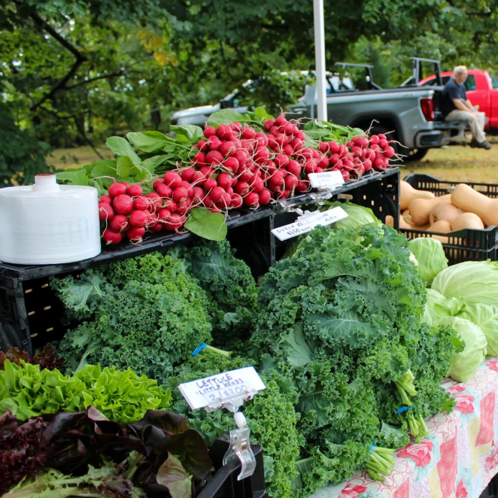 Rhode Island’s recession may have ended, says URI economist